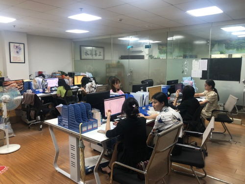 广州企业一站式服务指南 从公司注册到纳税申报全解析